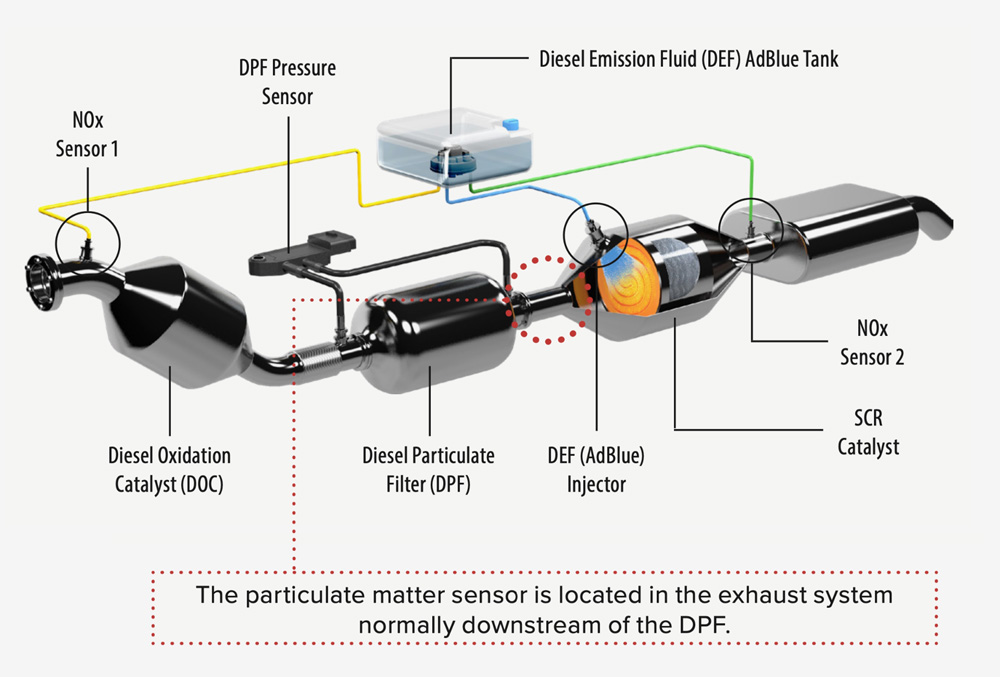 dpf-setup